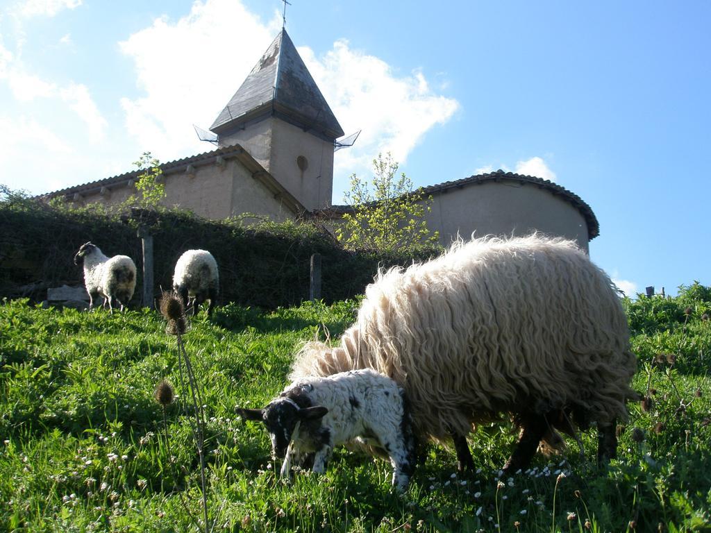 Casa Rural Parriola Villanueva de Arce Экстерьер фото